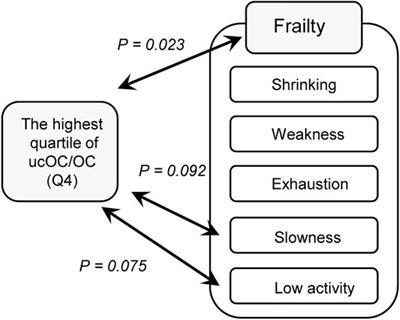 Association of Vitamin K Insufficiency as Evaluated by Serum Undercarboxylated Osteocalcin With Frailty in Community-Dwelling Older Adults